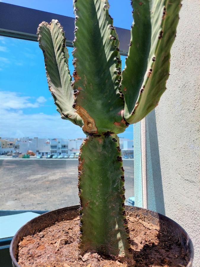 Deep Blue Cotillo III By Sea You There Fuerteventura 외부 사진
